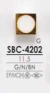 SBC4202 Bouton En Métal Pour La Teinture