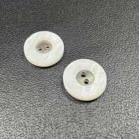 WB127 Bouton De Coquille D