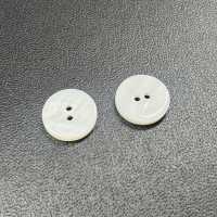 WB127 Bouton De Coquille D