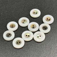 WB127 Bouton De Coquille D