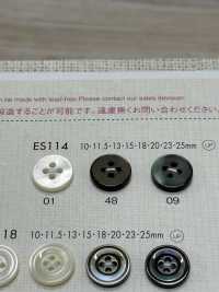 ES114 DAIYA BUTTONS Bouton En Polyester Façon Coquillage DAIYA BUTTON Sous-photo