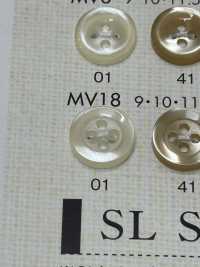 MV18 DAIYA BUTTONS Bouton En Polyester Façon Coquillage DAIYA BUTTON Sous-photo