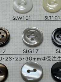 SLG17 DAIYA BUTTONS Bouton En Polyester Façon Coquillage DAIYA BUTTON(DAIYA BUTTON) Sous-photo