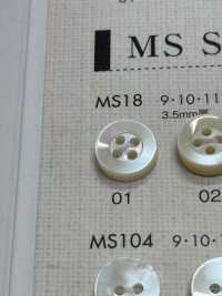 MS18 DAIYA BUTTONS Bouton En Polyester Façon Coquillage DAIYA BUTTON(DAIYA BUTTON) Sous-photo