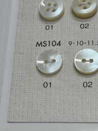 MS104 DAIYA BUTTONS Bouton En Polyester Façon Coquillage DAIYA BUTTON(DAIYA BUTTON) Sous-photo