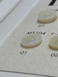 MS104 DAIYA BUTTONS Bouton En Polyester Façon Coquillage DAIYA BUTTON(DAIYA BUTTON) Sous-photo