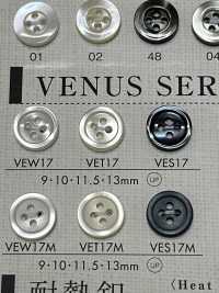 VEW17 DAIYA BUTTONS Bouton En Polyester Façon Coquillage DAIYA BUTTON Sous-photo