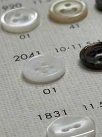 2041 DAIYA BUTTONS Bouton En Polyester Façon Coquillage DAIYA BUTTON Sous-photo