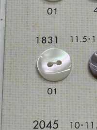 1831 DAIYA BUTTONS Bouton En Polyester Façon Coquillage DAIYA BUTTON(DAIYA BUTTON) Sous-photo