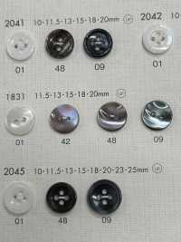 1831 DAIYA BUTTONS Bouton En Polyester Façon Coquillage DAIYA BUTTON(DAIYA BUTTON) Sous-photo