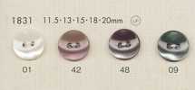 1831 DAIYA BUTTONS Boutons en polyester style coquille