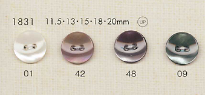 1831 DAIYA BUTTONS Boutons en polyester style coquille