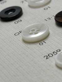 OPH331 DAIYA BUTTONS Bouton En Polyester Façon Coquillage DAIYA BUTTON(DAIYA BUTTON) Sous-photo