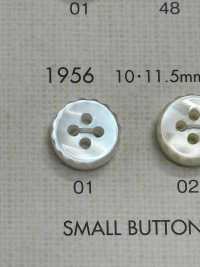 1956 DAIYA BUTTONS Bouton En Polyester Façon Coquillage DAIYA BUTTON(DAIYA BUTTON) Sous-photo