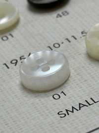 1956 DAIYA BUTTONS Bouton En Polyester Façon Coquillage DAIYA BUTTON(DAIYA BUTTON) Sous-photo