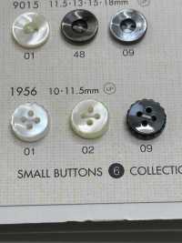 1956 DAIYA BUTTONS Bouton En Polyester Façon Coquillage DAIYA BUTTON(DAIYA BUTTON) Sous-photo
