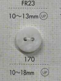 170 DAIYA BUTTONS Bouton Polyester Double Trou DAIYA BUTTON Sous-photo