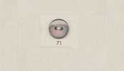 71 DAIYA BUTTONS Deux Boutons En Nacre Et Coquillage En Polyester