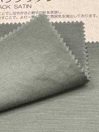BD6101 Coton Lin Satin Dos Clair[Fabrication De Textile] COSMO TEXTILE Sous-photo