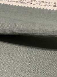 BD6101 Coton Lin Satin Dos Clair[Fabrication De Textile] COSMO TEXTILE Sous-photo