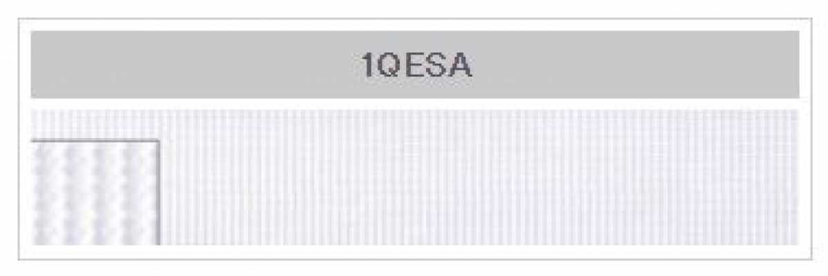 1QESA POWERHOOK® Fermeture auto-agrippante petit type (1,2 mm)