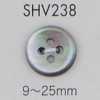 SHV238 Bouton en coquillage à quatre trous