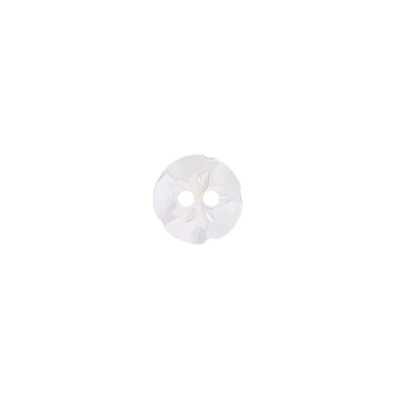 ST1036 Bouton 2 trous en coquille Takase