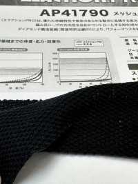 AP41790 Type De Maille Textile Extensible[Fabrication De Textile] Étirement Du Japon Sous-photo
