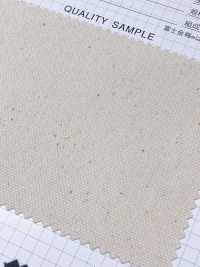 8080 Fuji Kinume Cotton Canvas No. 8 Hard Resin Water Repellent Finish[Fabrication De Textile] Fuji Or Prune Sous-photo