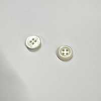 ES115 DAIYA BUTTONS Bouton en polyester effet coquillage, en forme de coupelle, à 4 trous[Boutons] DAIYA BUTTON Images supplémentaires