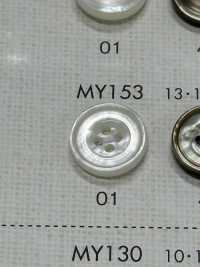MY153 DAIYA BUTTONS Bouton En Polyester à Quatre Coquilles Bordé DAIYA BUTTON(DAIYA BUTTON) Sous-photo