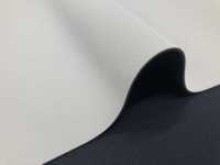 31044 HM AL Argent/PS Noir 95 × 170cm[Fabrication De Textile] Tortue Sous-photo