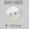 SHV1002 Bouton en coquillage à deux trous