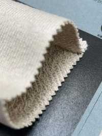 1077210 Molleton De Coton Lin[Fabrication De Textile] Takisada Nagoya Sous-photo