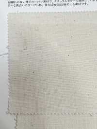 14281 Selvage Cotton Series Yarn Dyed 20 Single Thread Loomstate[Fabrication De Textile] SUNWELL Sous-photo