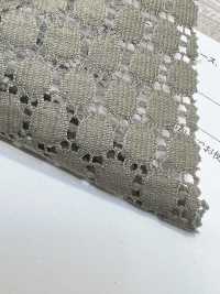 42875 Coton/nylon Dot Raschel Dentelle[Fabrication De Textile] SUNWELL Sous-photo