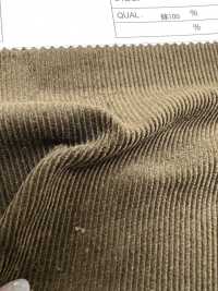 7500 Pantalon 16W Velours Côtelé[Fabrication De Textile] Kumoi Beauty (Chubu Velours Côtelé) Sous-photo
