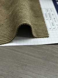 NTW7300 Velours Côtelé Extensible En Nylon/polyester 8W[Fabrication De Textile] Kumoi Beauty (Chubu Velours Côtelé) Sous-photo