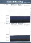 6010 Denim 10 oz, armure sergée (2/1)