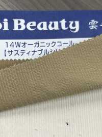 OG2180 Coton 14W/velours Côtelé Biologique[Fabrication De Textile] Kumoi Beauty (Chubu Velours Côtelé) Sous-photo