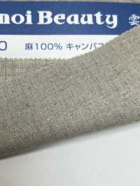 12500 100% Toile De Lin[Fabrication De Textile] Kumoi Beauty (Chubu Velours Côtelé) Sous-photo