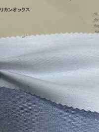 3351 Oxford Américain[Fabrication De Textile] ARINOBE CO., LTD. Sous-photo