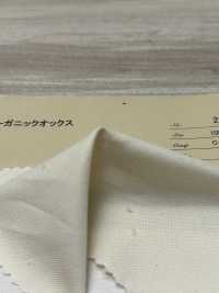 2821 Oxford Biologique Teint En Fil[Fabrication De Textile] ARINOBE CO., LTD. Sous-photo