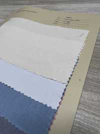 2921 Tissu De Machine à écrire Biologique Teint En Fil[Fabrication De Textile] ARINOBE CO., LTD. Sous-photo