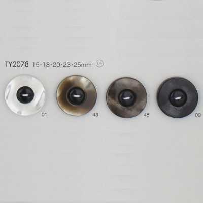 TY2078 Bouton en résine polyester à 2 trous