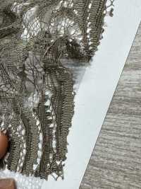 KKF8575-D4 Dentelle De Cordon Scalaire Ny/Ry à Oreille Unique[Fabrication De Textile] Uni Textile(Atelier Komon) Sous-photo