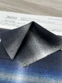 26233 Fil Teint 16 Fils Simples Coton Viyella Ombre Check[Fabrication De Textile] SUNWELL Sous-photo