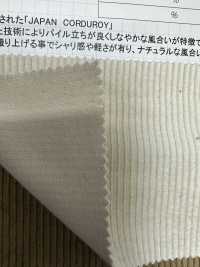 CF7000 9W C/F (Lin) Velours Côtelé[sortie][Fabrication De Textile] Kumoi Beauty (Chubu Velours Côtelé) Sous-photo