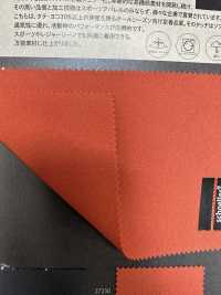 3-67341 Schoeller-dynamique[Fabrication De Textile] Takisada Nagoya Sous-photo