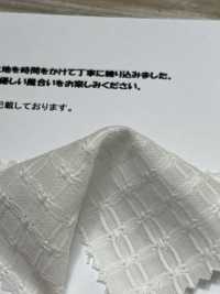 HK1111 Renocross Nature[Fabrication De Textile] KOYAMA Sous-photo